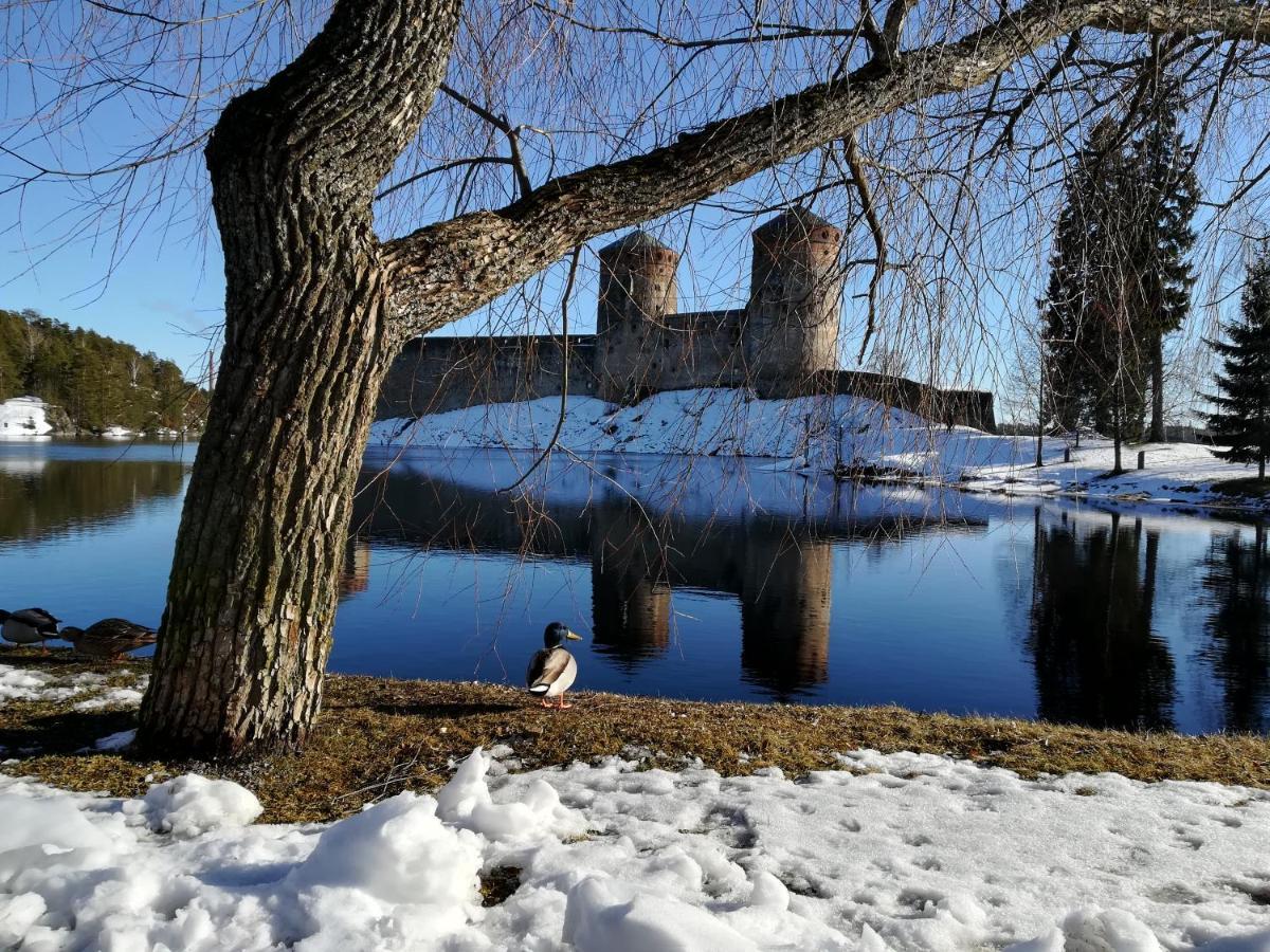 Savonlinna Rentals Ngoại thất bức ảnh